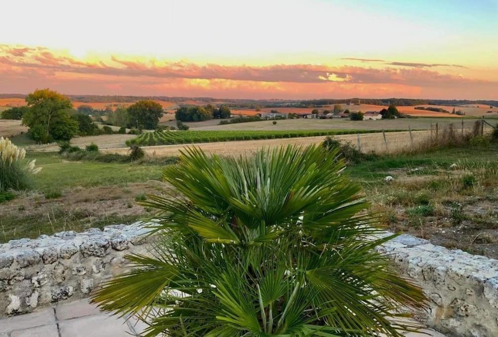 French Farmhouse Retreat With Pool & Superb Views. Blanzac  المظهر الخارجي الصورة
